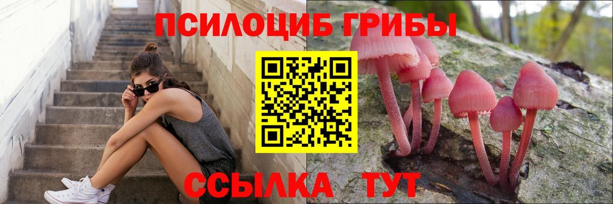 Псилоцибиновые грибы прущие грибы  Вход с VPN  Галлюциногенные грибы Psilocybe  Усть-Джегута 